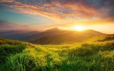 istockphoto-517188688-612x612-1